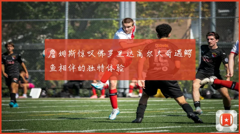 詹姆斯惊叹佛罗里达高尔夫奇遇鳄鱼相伴的独特体验