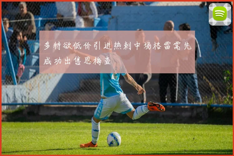 多特欲低价引进热刺中场格雷需先成功出售恩梅查