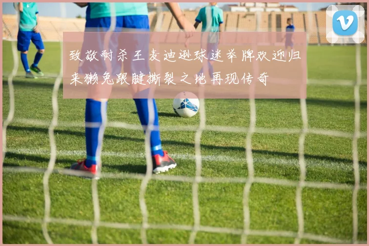 致敬耐杀王麦迪逊球迷举牌欢迎归来獭兔跟腱撕裂之地再现传奇